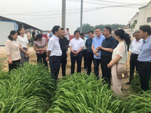 大力發(fā)展我省特色地標(biāo)農(nóng)產(chǎn)品種植加工，盡快提升產(chǎn)業(yè)化水平調(diào)研